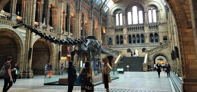 Natural History Museum London: Dinosaurier, Dramen und die liebe Zeit