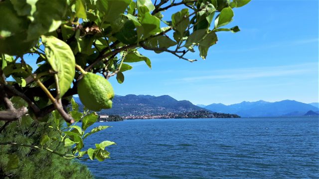 Dolce Vita: 111 Gründe, Italien zu lieben