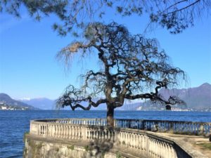 14 Dinge über den Lago Maggiore, die du noch nicht wusstest Aufmacher 2 bearbeitet klein