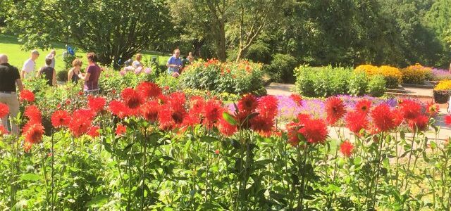 Von wegen grau: Es grünt und blüht im Grugapark Essen