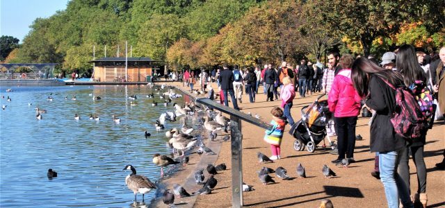 Hyde Park London: Entspannung pur mitten in der Großstadt