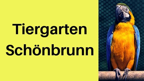 Tiergarten Schönbrunn in Wien: Der schönste Zoo der Welt?