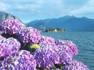 Lago Maggiore vermeiden Aufmacher 1 bearbeitet klein