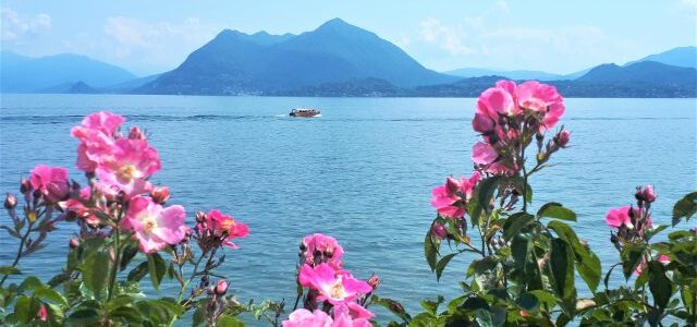 Lago Maggiore für Anfänger: 10 tolle Sehenswürdigkeiten rund um Stresa
