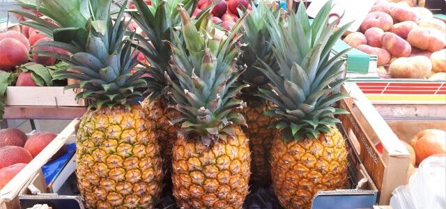 Freitags am Lago Maggiore: Der Markt in Stresa