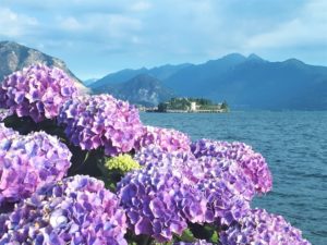 Die schönsten Orte am Lago Maggiore Aufmacher 2 bearbeitet klein