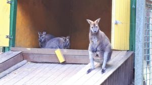 Lago Maggiore mit Kindern Bild 3 bearbeitet klein
