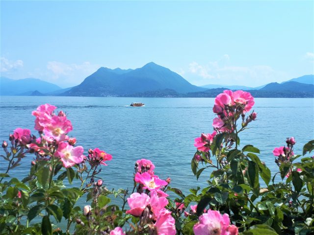 Coronavirus am Lago Maggiore Aufmacher 2 bearbeitet klein