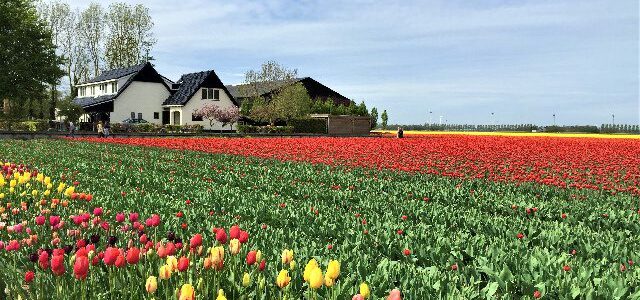 9 Blogger verraten ihre besten Niederlande-Tipps