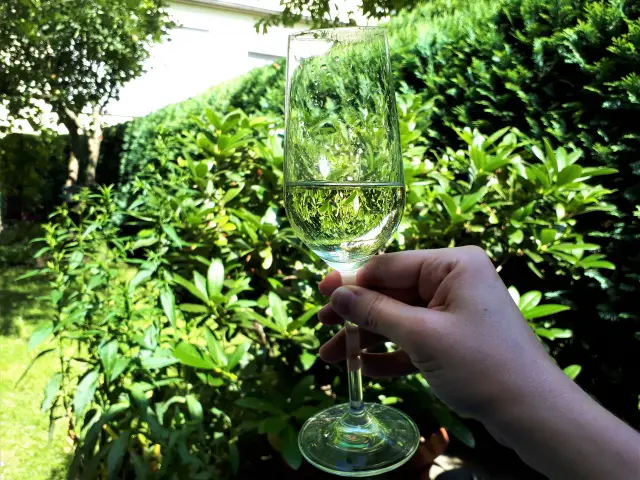 Rezepte mit Prosecco Aufmacher 2 bearbeitet klein