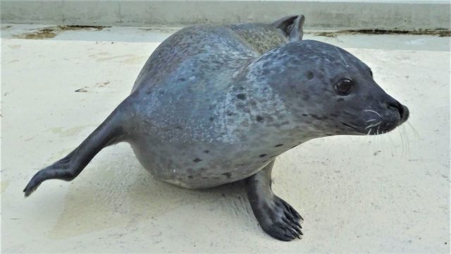 Tierpark Bochum: Zoobewohner hautnah erleben