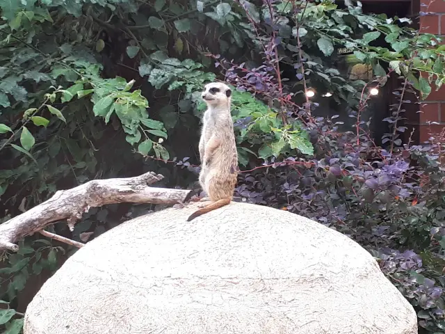 Tierpark Bochum Aufmacher 2 bearbeitet klein