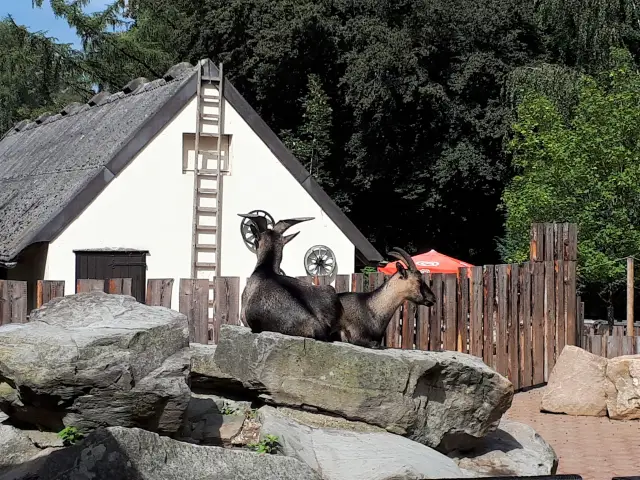 Tierpark Bochum Bild 3 bearbeitet klein