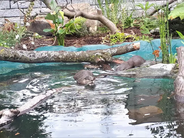 Tierpark Bochum Bild 5 bearbeitet klein