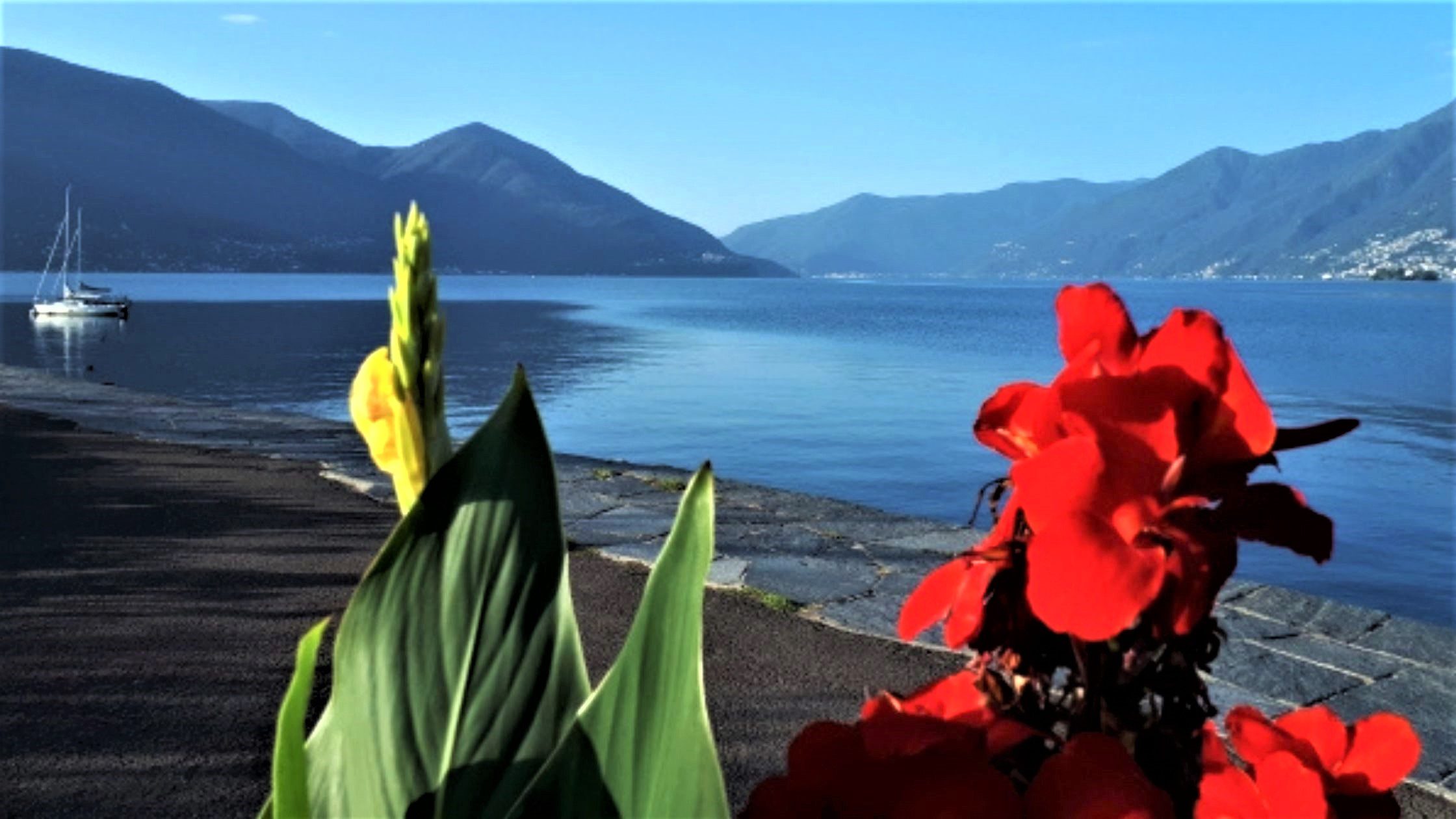 Geburtstag, Weihnachten und Co.: Geschenke für Lago-Maggiore-Fans