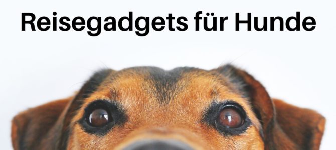 Hund Geschenk Archive Die Bunte Christine