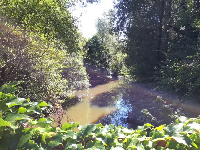 Naturschutzgebiet Fondotoce Aufmacher 2 bearbeitet klein