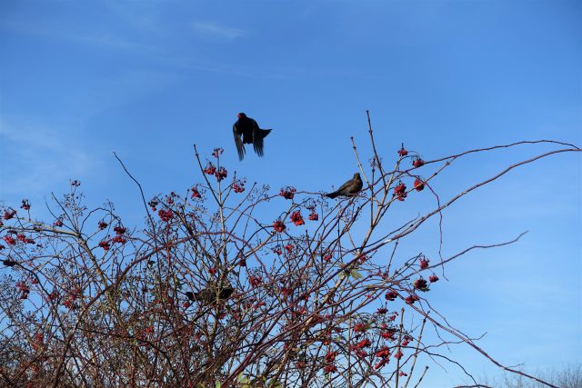Mal eben raus aus dem Ruhrgebiet: 10 tolle Ausflugsziele in NRW