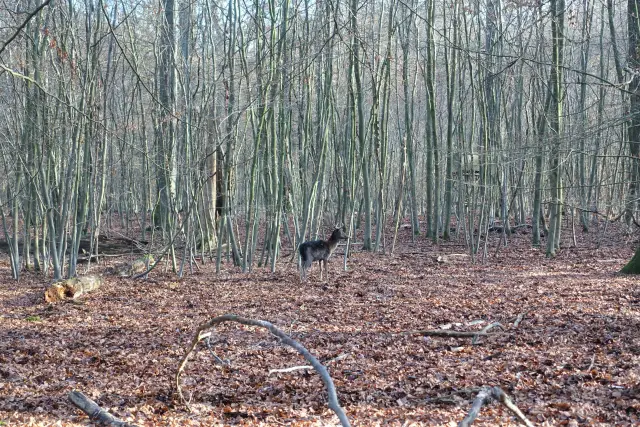 Ausflugsziele in NRW Bild 7 bearbeitet klein