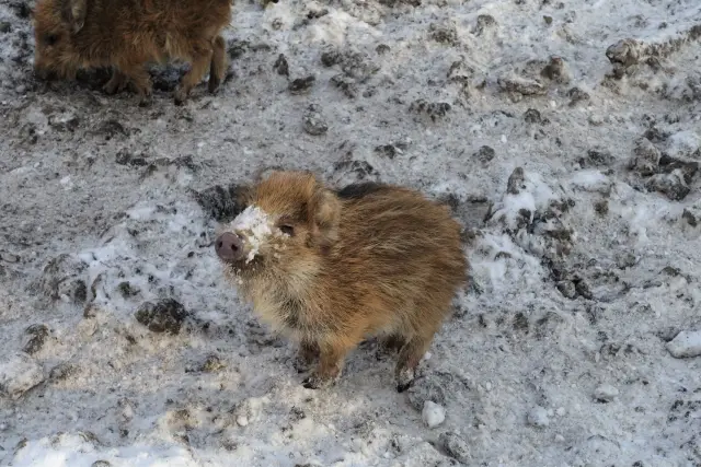 Schöne Ausflugsziele im Ruhrgebiet Bild 7 bearbeitet klein