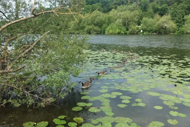 Schöne Ausflugsziele im Ruhrgebiet Bild 8 bearbeitet klein