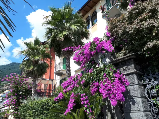 So gelingt dein Urlaub am Lago Maggiore Aufmacher 2 bearbeitet klein