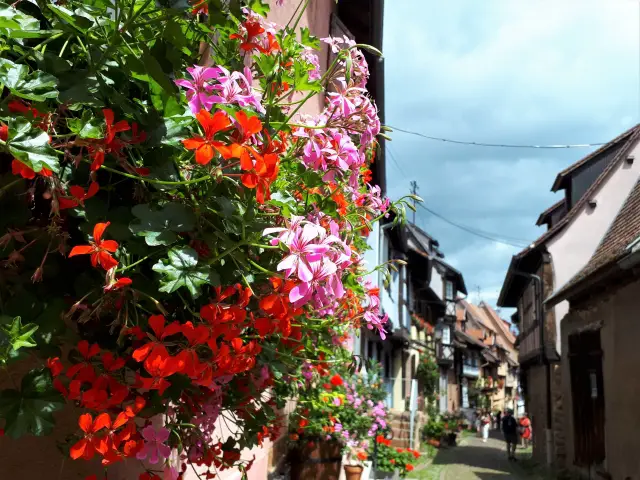 Eguisheim im Elsass Bild 4 bearbeitet klein
