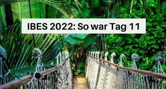 IBES 2022 So war Tag 11 im Dschungelcamp Aufmacher 1