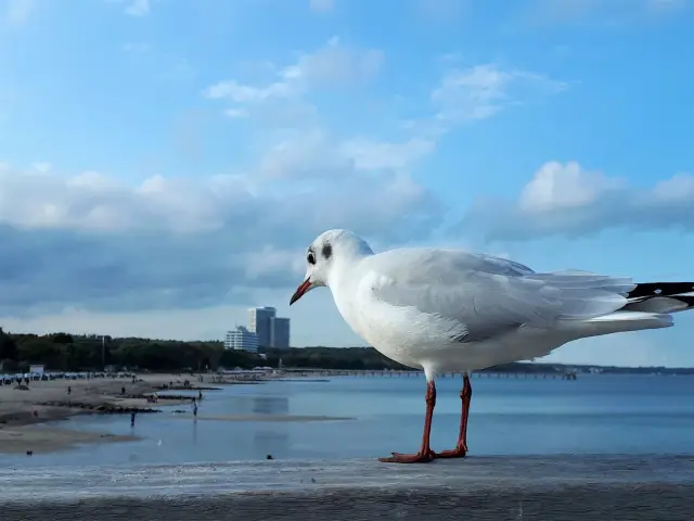 Eine Woche an der Lübecker Bucht Aufmacher 2 bearbeitet klein
