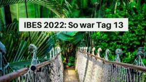 IBES 2022 So war Tag 13 im Dschungel Aufmacher 1