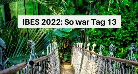 IBES 2022 So war Tag 13 im Dschungel Aufmacher 1