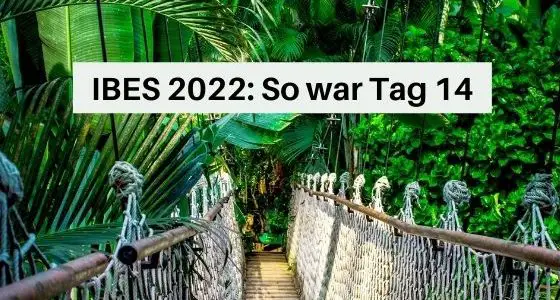 IBES 2022 So war Tag 14 im Dschungelcamp Aufmacher 1