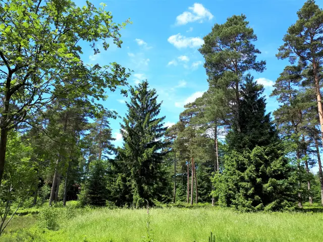 Heidekastell Iserhatsche Bild 10 bearbeitet klein