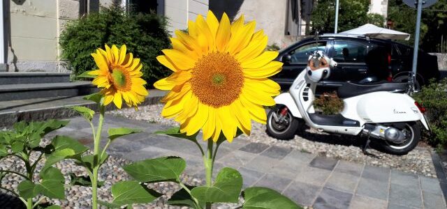 Ispra am Lago Maggiore: Ein Ort für Verliebte