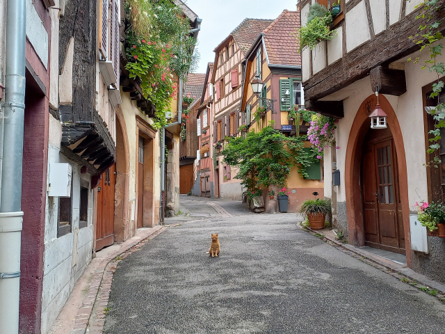 Ribeauville im Elsass Bild 3 bearbeitet klein