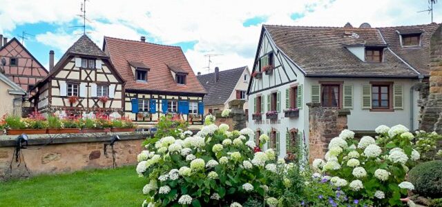 10 Fotos, die Lust aufs Elsass machen