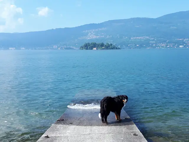 Lago Maggiore mit Hund Bild 4 bearbeitet klein