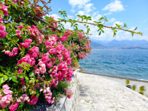 Lago Maggiore mit dem Campervan Bild 4 bearbeitet klein