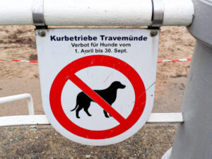 Lübecker Bucht mit Hund Bild 3 bearbeitet klein