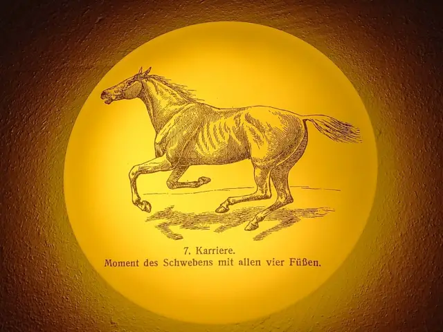 Café Reitstall Bild 5 bearbeitet klein