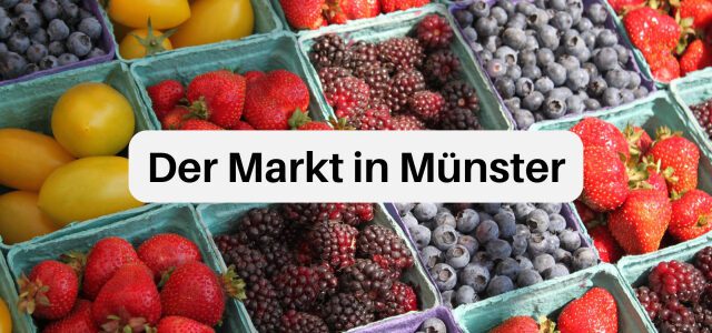 Der Markt in Münster: Einkaufen in historischer Kulisse