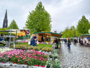 Markt in Münster Bild 10 bearbeitet klein