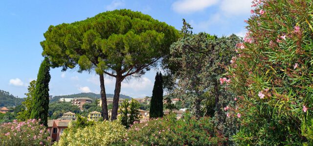 5 Gründe für Urlaub an der ligurischen Küste