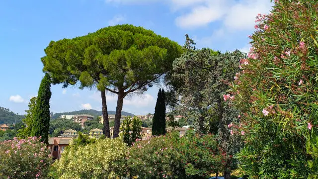 Urlaub an der ligurischen Küste Aufmacher 1 bearbeitet klein