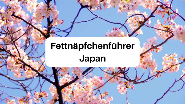 Rezension Fettnäpfchenführer Japan Aufmacher 1 klein