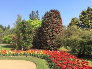 Lohnt sich der botanische Garten Gambarogno Bild 7 bearbeitet klein