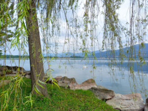 Lago di Varese Bild 5 bearbeitet klein