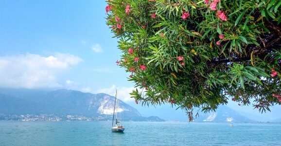Lago Maggiore für Einsteiger: Die zweite Auflage meines Reiseführers ist da