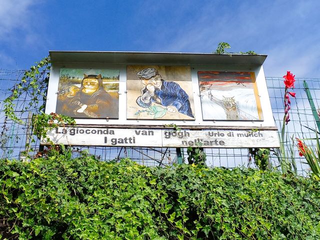 Katzendorf am Ortasee Bild 13 bearbeitet klein