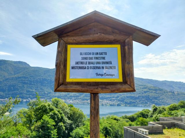 Katzendorf am Ortasee Bild 25 bearbeitet klein